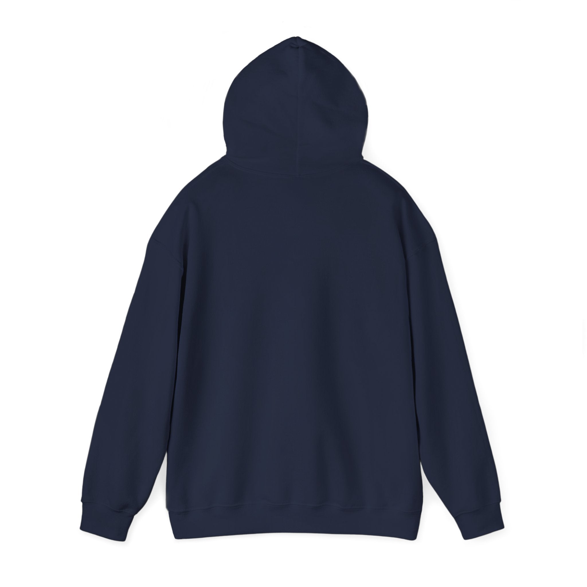 Rodeo Longhorn hoodie in Navy — back with hood