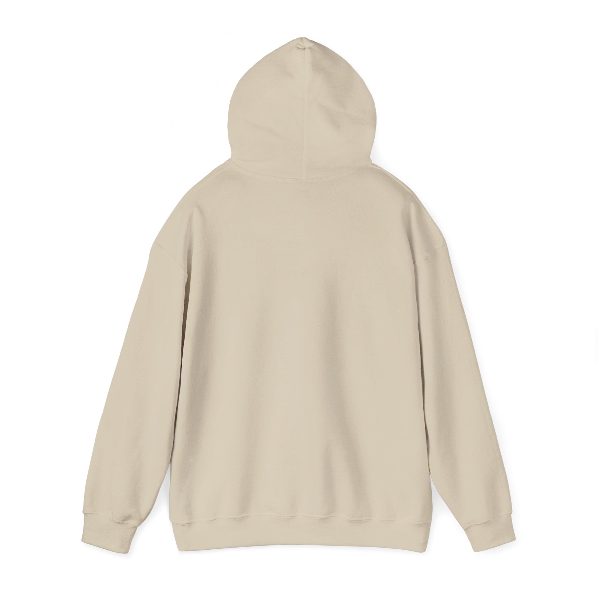 Guitar Sunset hoodie in Sand — back with hood
