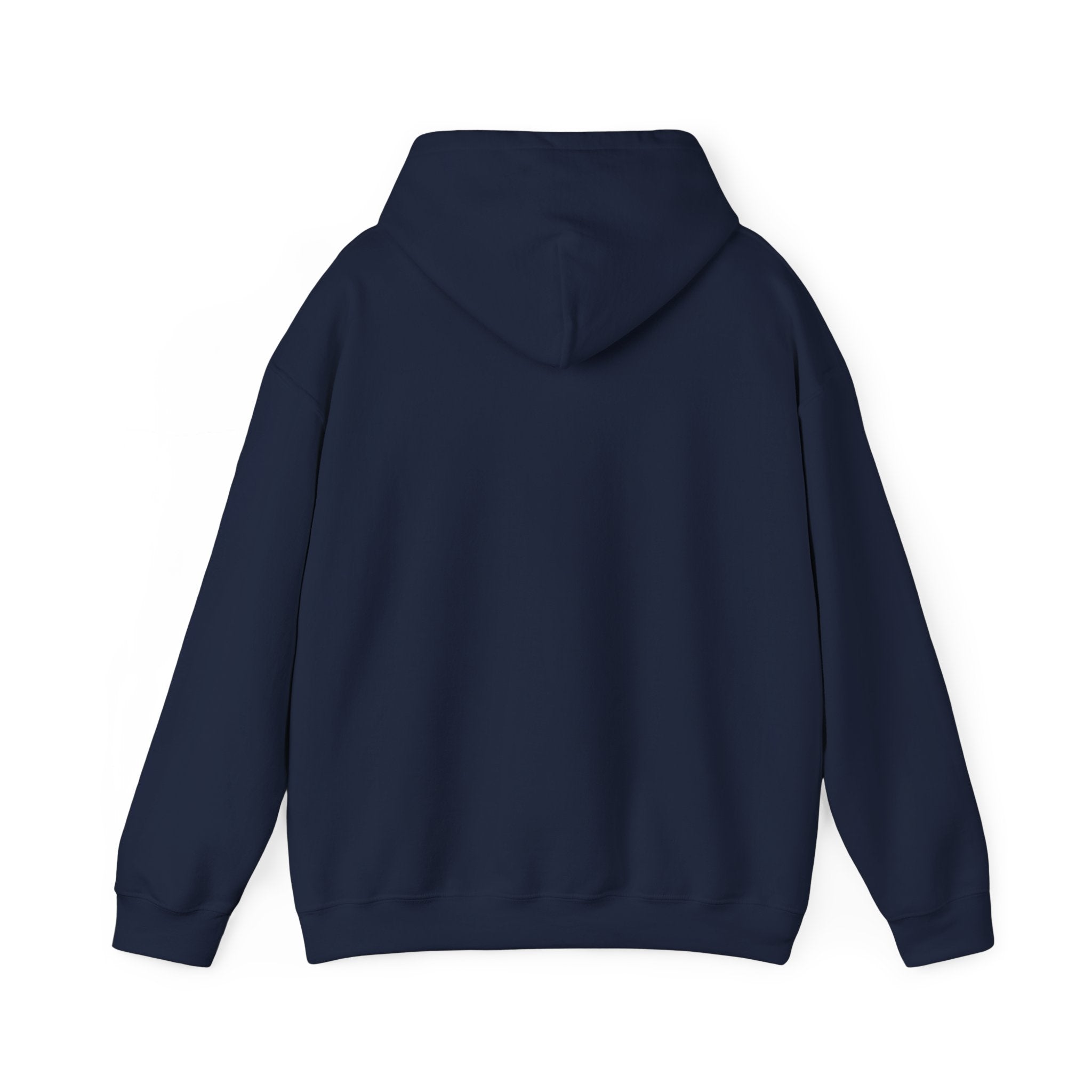 Rodeo Longhorn hoodie in Navy — back